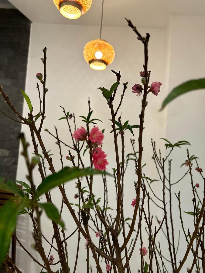 Vang Anh Homestay 호이안 외부 사진